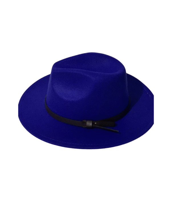 Fedora hat