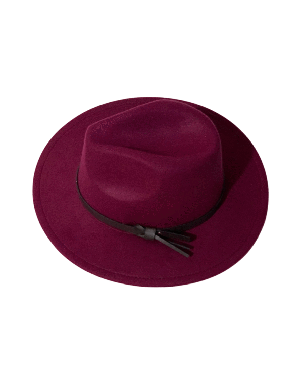 Fedora hat