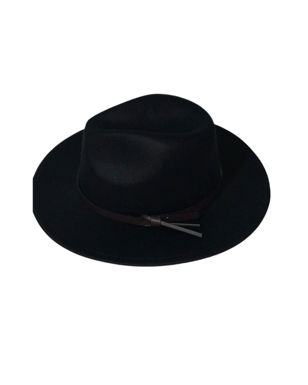 Fedora hat