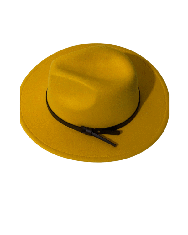 Fedora hat